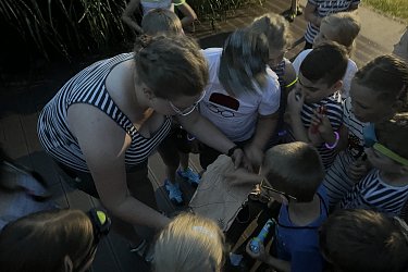Obrázek č.104