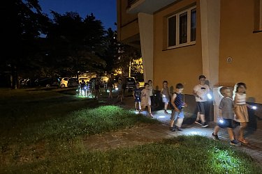 Obrázek č.110