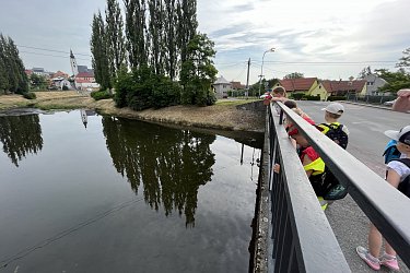 Obrázek č.19