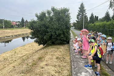 Obrázek č.23