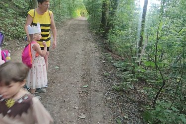 Obrázek č.33