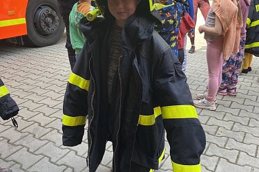 Obrázek č.33