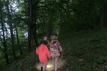 Obrázek č.79