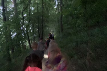 Obrázek č.66