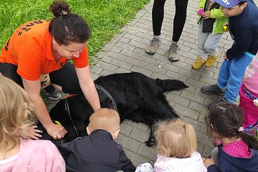 Obrázek č.3