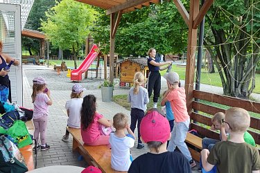 Obrázek č.61