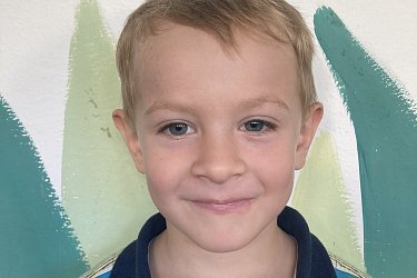 Obrázek č.17