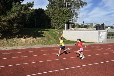 Obrázek č.102
