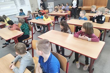 Obrázek č.15