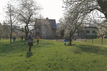 Obrázek č.5