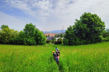 Obrázek č.13