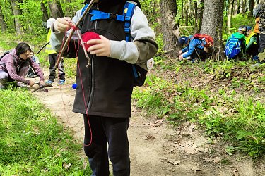 Obrázek č.15