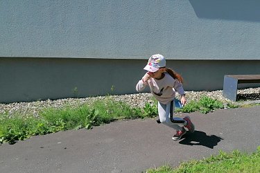 Obrázek č.23
