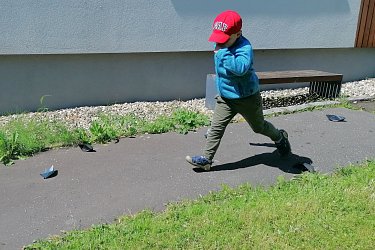 Obrázek č.27