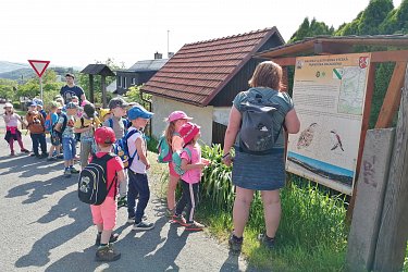 Obrázek č.38