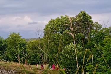 Obrázek č.139