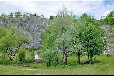 Obrázek č.120