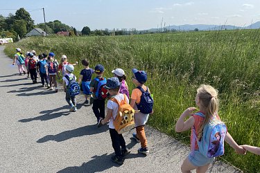 Obrázek č.80