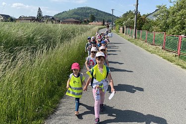 Obrázek č.75