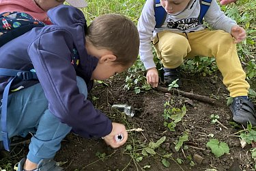 Obrázek č.20
