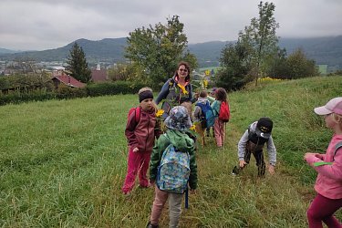 Obrázek č.13