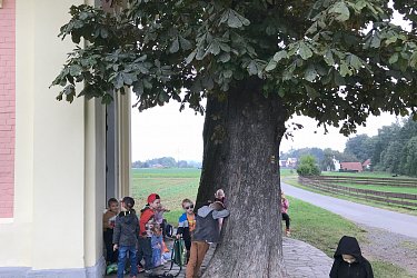 Obrázek č.24