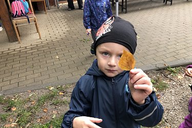 Obrázek č.68