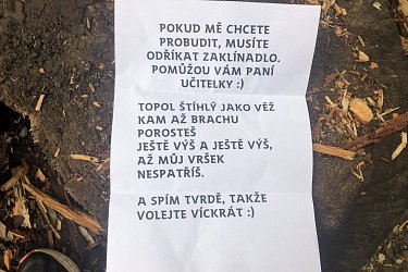 Obrázek č.90