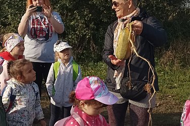 Obrázek č.5