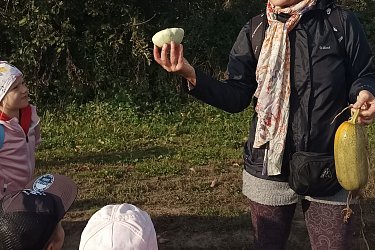 Obrázek č.6