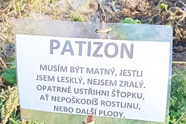 Obrázek č.7
