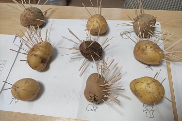 Obrázek č.57