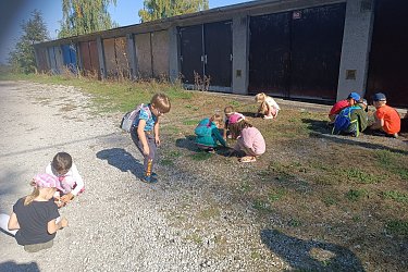 Obrázek č.64