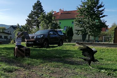 Obrázek č.7
