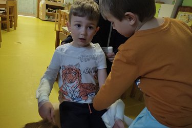 Obrázek č.102