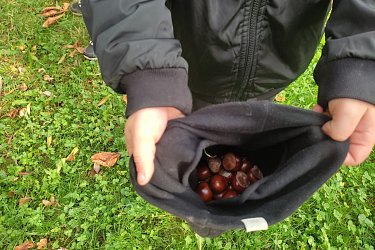 Obrázek č.41