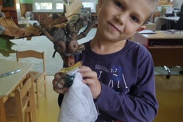 Obrázek č.64