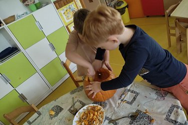Obrázek č.116