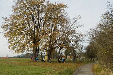 Obrázek č.85