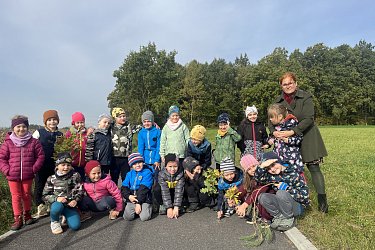 Obrázek č.133