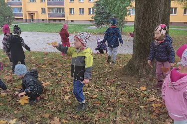 Obrázek č.24