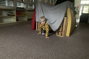 Obrázek č.101