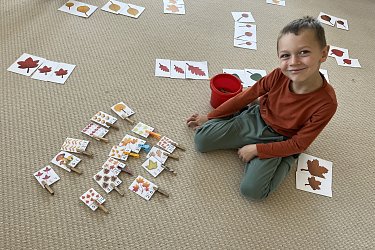 Obrázek č.33