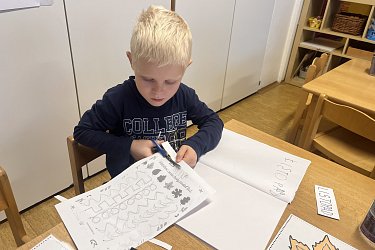 Obrázek č.29