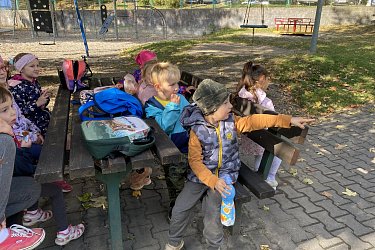 Obrázek č.19