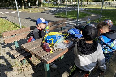 Obrázek č.21