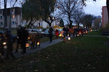 Obrázek č.30