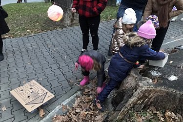 Obrázek č.8