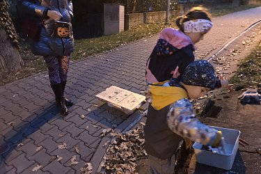Obrázek č.2