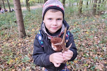 Obrázek č.7